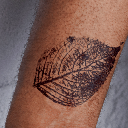 Botanical Impression by Felipe Sena is a temporary tattoo from inkbox - 0