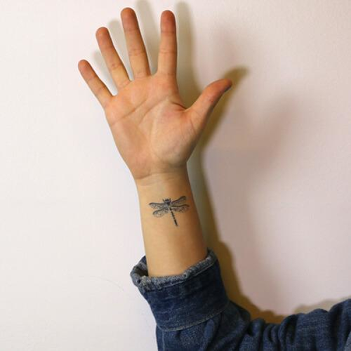 Aileron by inkbox is a Animals temporary tattoo from inkbox - 0