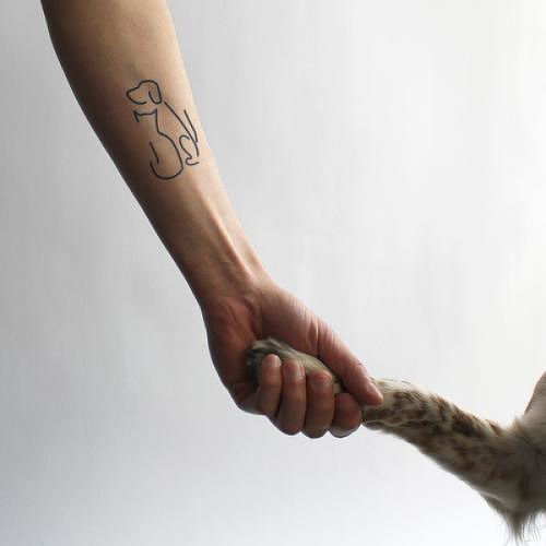 Amicis by nagham sadek is a Animals temporary tattoo from inkbox - 0