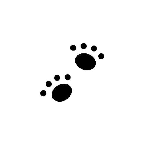 by is a temporary tattoo from inkbox - 1