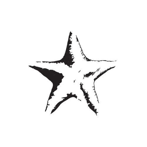 Aster Eidos by inkbox is a Animals temporary tattoo from inkbox - 1