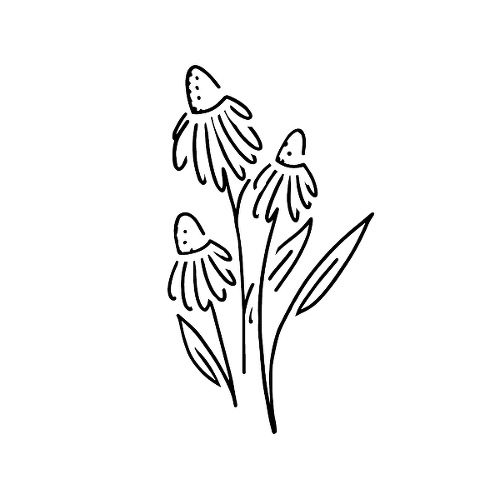 Bellis by Kylie Stinson is a Flowers temporary tattoo from inkbox - 1