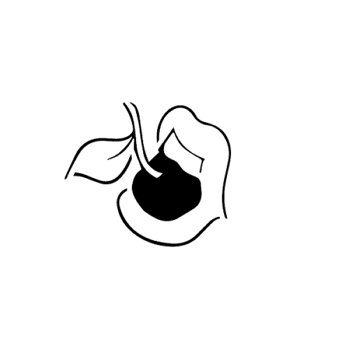 by is a temporary tattoo from inkbox - 1