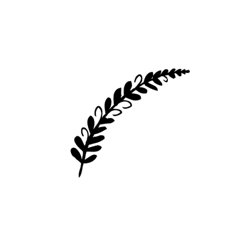 Bolbitis by Andra Bogdan is a Nature temporary tattoo from inkbox - 1