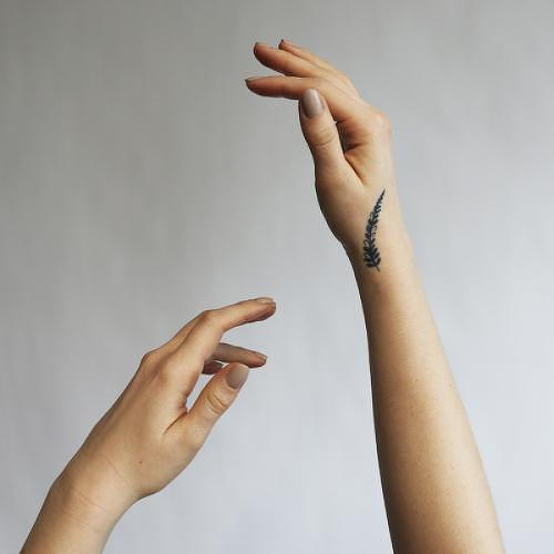 Bolbitis by Andra Bogdan is a Nature temporary tattoo from inkbox - 0