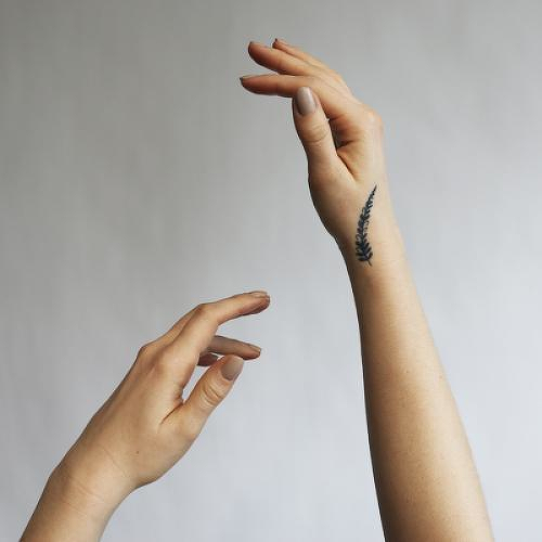Bolbitis by Andra Bogdan is a Nature temporary tattoo from inkbox - 2