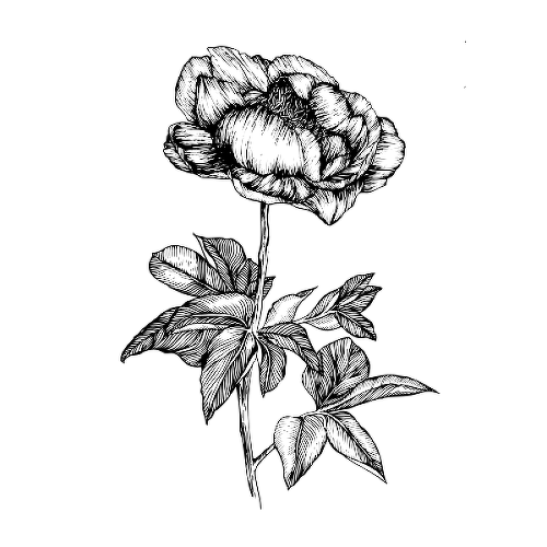 Bozhure by Andra Bogdan is a Flowers temporary tattoo from inkbox - 1