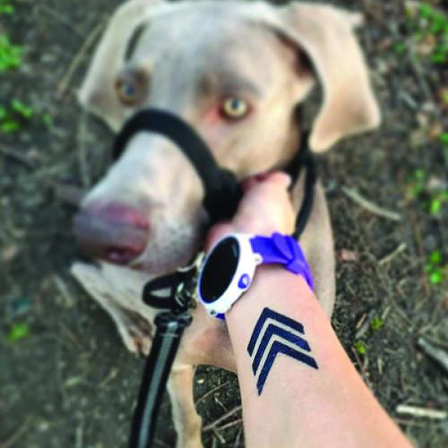 Broodlings by Jaimie Hallarn is a Arrows temporary tattoo from inkbox - 1
