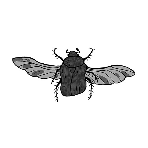 Buggo by Atomica is a temporary tattoo from inkbox - design