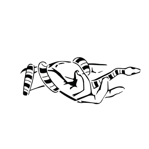 Coiled by Kristyn Klamut is a Animals temporary tattoo from inkbox - 1