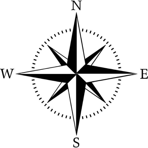 Compass Rose by Brandon Giambattista is a Travel temporary tattoo from inkbox - 1