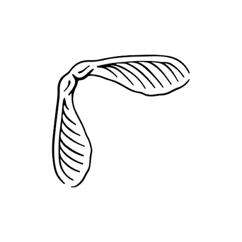 Copter by Grace Tesmer is a Nature temporary tattoo from inkbox - 1