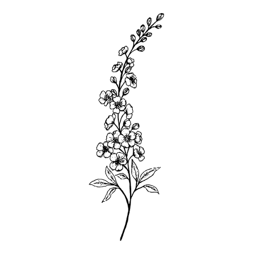 Delphi by Nicola Jones is a Flowers temporary tattoo from inkbox - 1