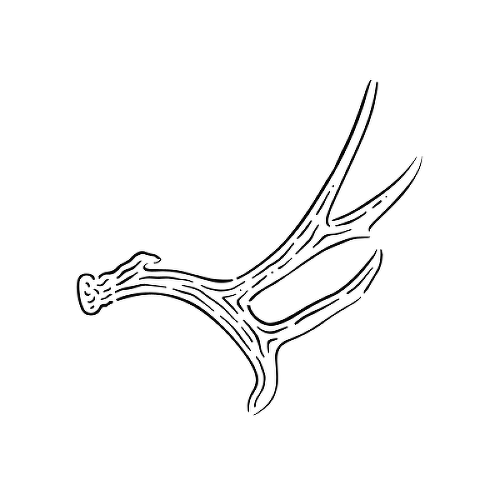 Diana by Grace Tesmer is a Nature temporary tattoo from inkbox - 1