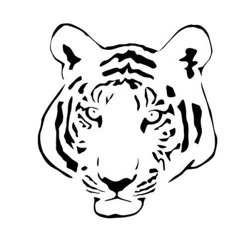 Felis Trigris by inkbox is a Animals temporary tattoo from inkbox - 1