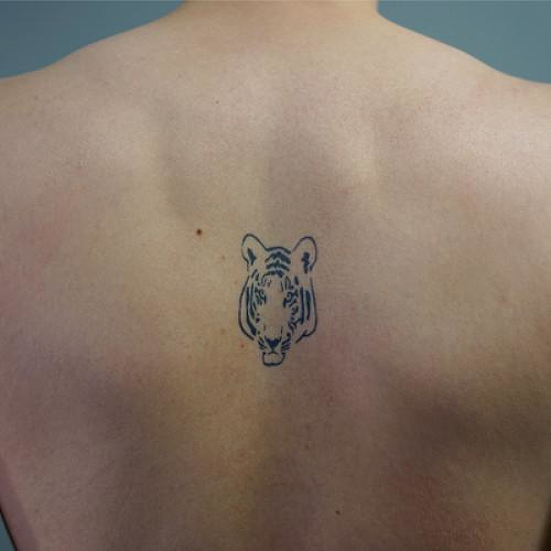 Felis Trigris by inkbox is a Animals temporary tattoo from inkbox - 3