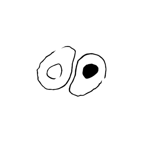 FreSha VocaDo by Tara B is a Food & Drink temporary tattoo from inkbox - 1