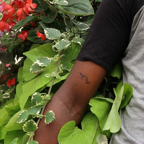 Fuww by inkbox is a Nature temporary tattoo from inkbox - 0