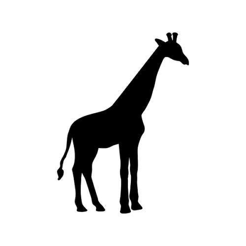 Geri by inkbox tattoos is a Animals temporary tattoo from inkbox - 1