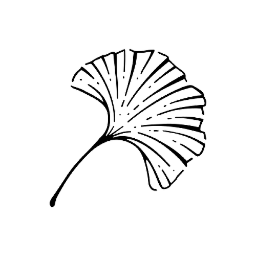 Ginkgo by Grace Tesmer is a Nature temporary tattoo from inkbox - 1