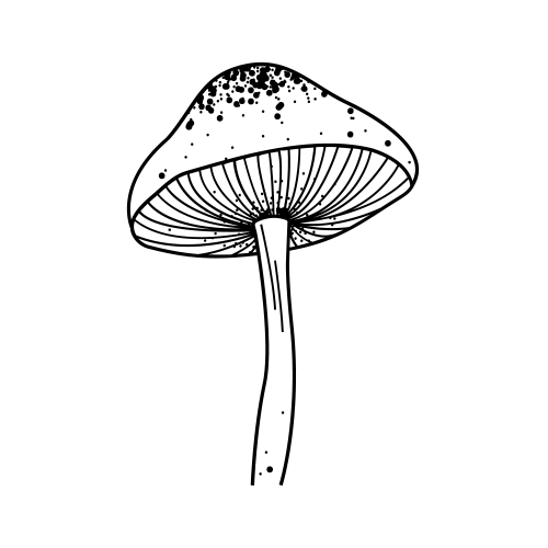 Gljiva by Fatima Almuhtaram is a temporary tattoo from inkbox - design