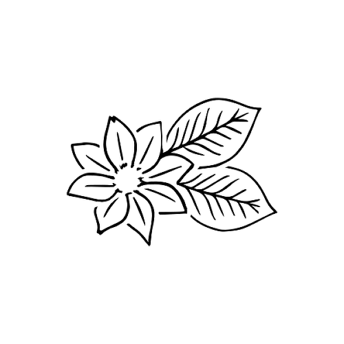 H2O by Chemtats is a Nature temporary tattoo from inkbox - 1