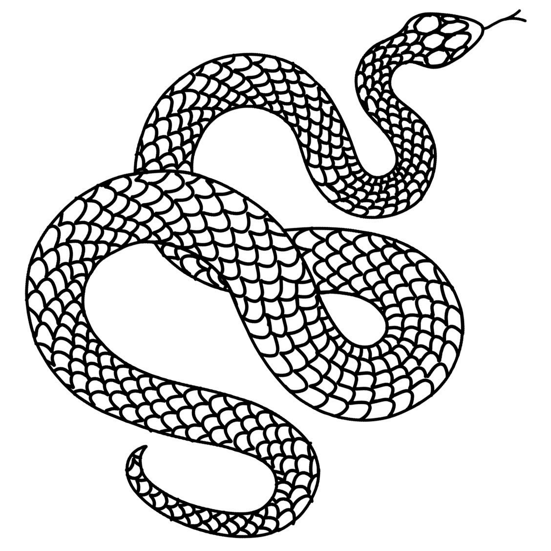 Hebi by Mr Preston is a temporary tattoo from inkbox - design