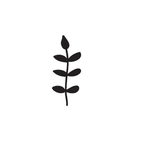 Helecho by Melina is a Flowers temporary tattoo from inkbox - 1