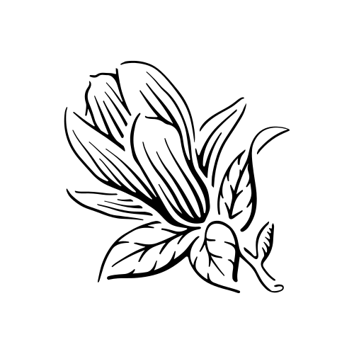 Hestia by Grace Tesmer is a temporary tattoo from inkbox - design