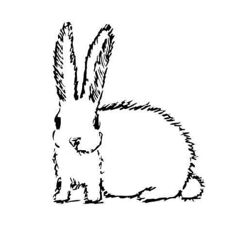 Hirsute by inkbox is a Animals temporary tattoo from inkbox - 1