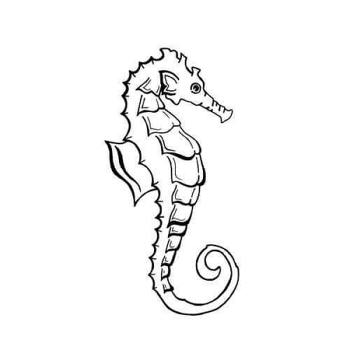 Kampos by Sarah Skrlj is a Animals temporary tattoo from inkbox - 1