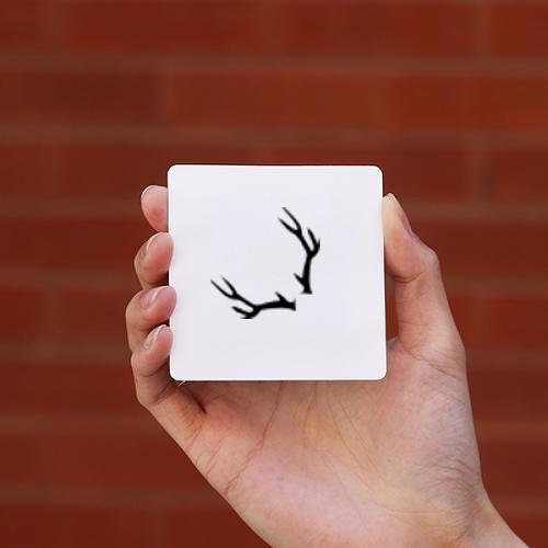 Koa by Jess Clark is a Animals temporary tattoo from inkbox - 0