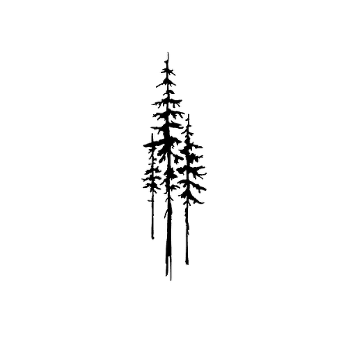 Lambertiana by Dylan Aiello is a Nature temporary tattoo from inkbox - 1