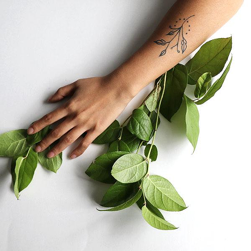 Latifolia by Xixi Wang is a Flowers temporary tattoo from inkbox - 0