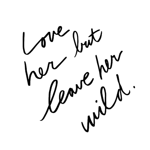 Leave Her Wild by atticus is a Quotes temporary tattoo from inkbox - 1