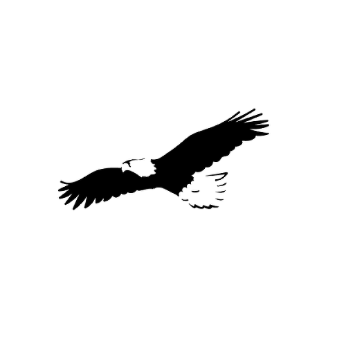 Longevity by Felipe Sena is a Animals temporary tattoo from inkbox - 1