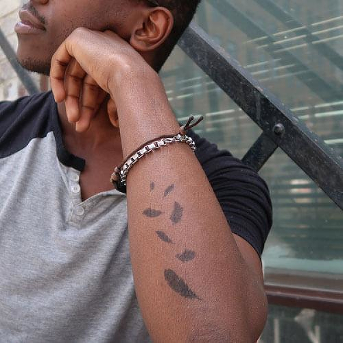 Macaw by inkbox is a Animals temporary tattoo from inkbox - 0