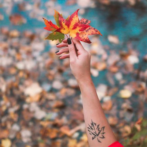 Moosemilk by inkbox is a Nature temporary tattoo from inkbox - 0
