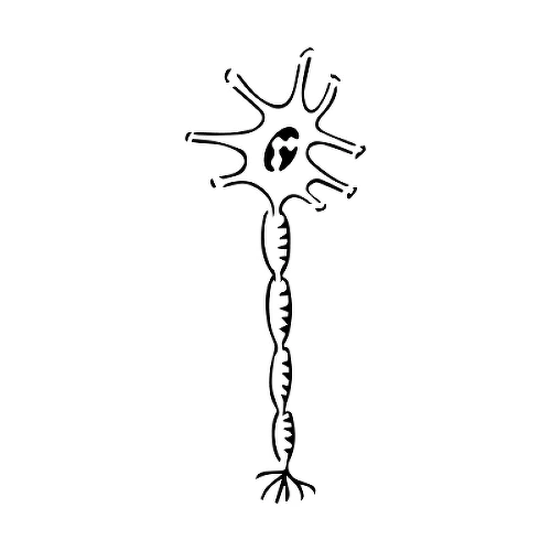 Nevrikos by Heba Sidahmed is a Science temporary tattoo from inkbox - 1