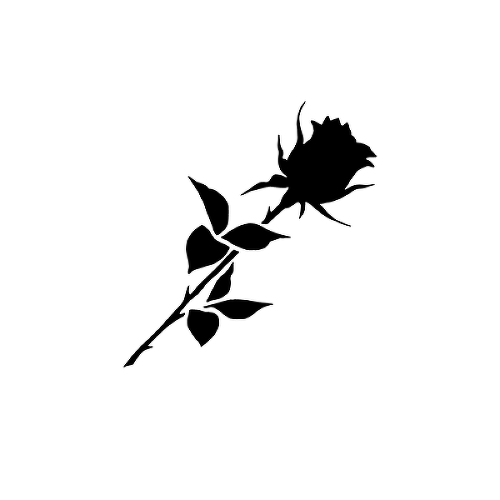 Noir by Lenera Solntseva is a Flowers temporary tattoo from inkbox - 1