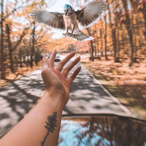 Orotund by Kristine Vodon is a Nature temporary tattoo from inkbox - 1
