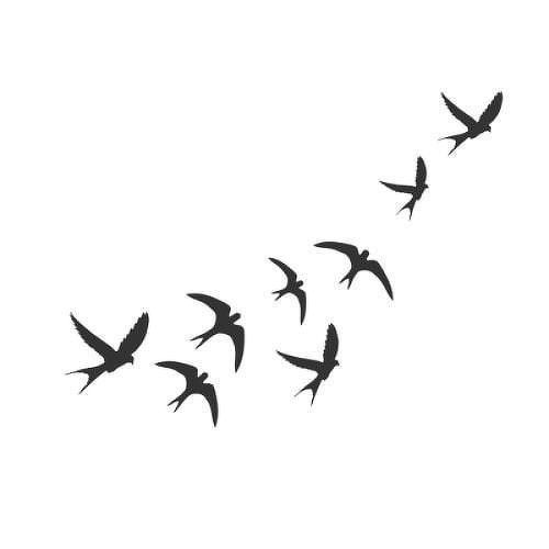 Pajaros by Inkbox is a Animals temporary tattoo from inkbox - 1
