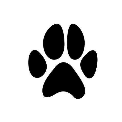 Pata by inkbox tattoos is a Animals temporary tattoo from inkbox - 1