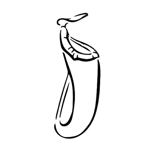 by is a temporary tattoo from inkbox - 1