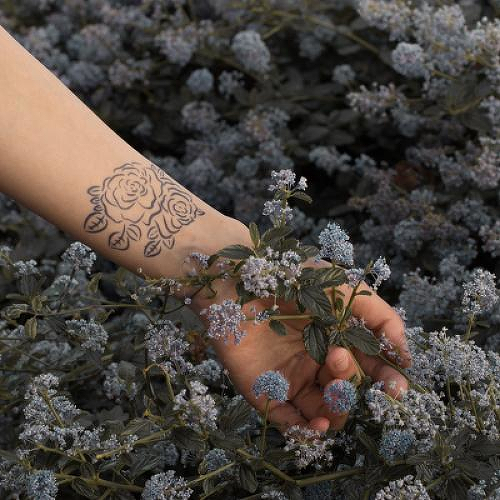 Rouge by Nikki Di Biasio is a Flowers temporary tattoo from inkbox - 0