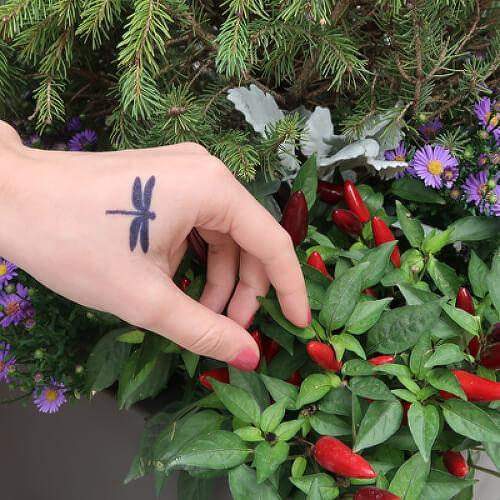 Ruddy by inkbox is a Animals temporary tattoo from inkbox - 2