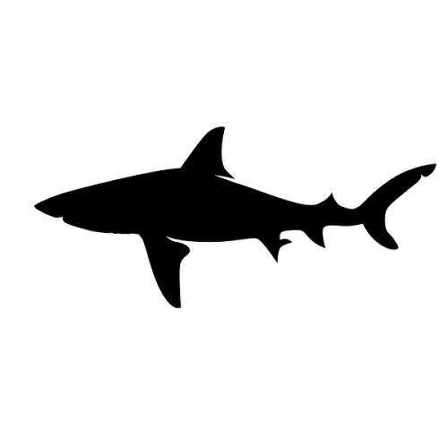 Sea Dog by inkbox tattoos is a Animals temporary tattoo from inkbox - 1