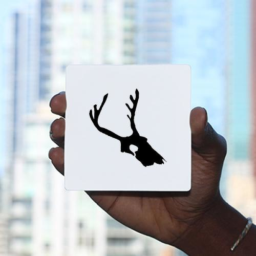 Skuledi by Addison Llanos is a Animals temporary tattoo from inkbox - 0