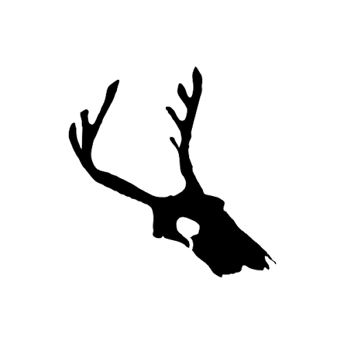 Skuledi by Addison Llanos is a Animals temporary tattoo from inkbox - 1