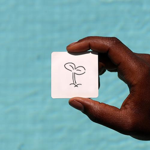 Sprout by AJ is a Nature temporary tattoo from inkbox - 0